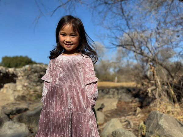 Eliana Dress-Rose Velvet