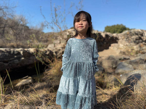 Eliana Dress-Blue Velvet