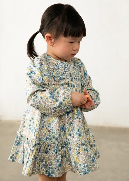 Printed velvet dress-anise 2946 bg