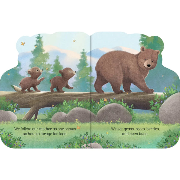 A Little Bear Shaped Board Book