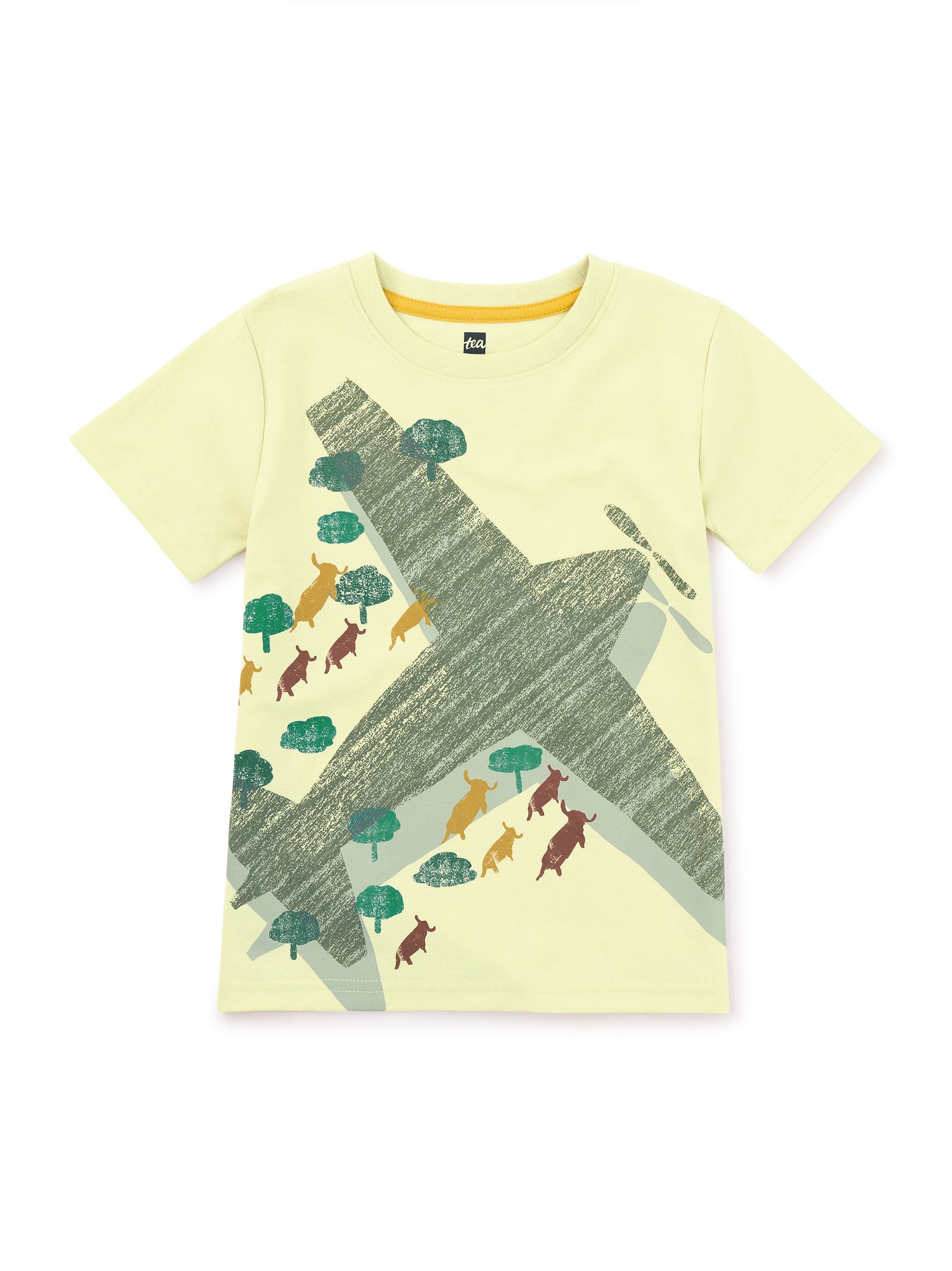 Airplane Graphic Tee/Hay