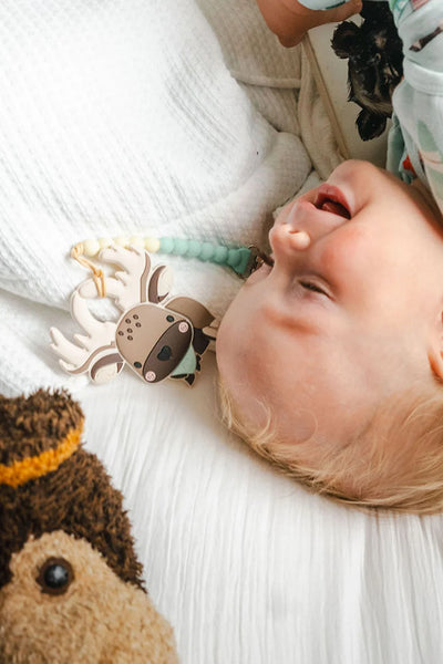 Pacifier Clip Teether Set - Moose