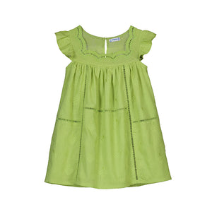 Embroidered dress/apple-3930