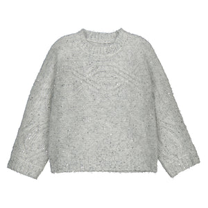 Sequins sweater-silver 4306