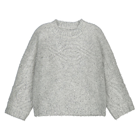 Sequins sweater-silver 4306
