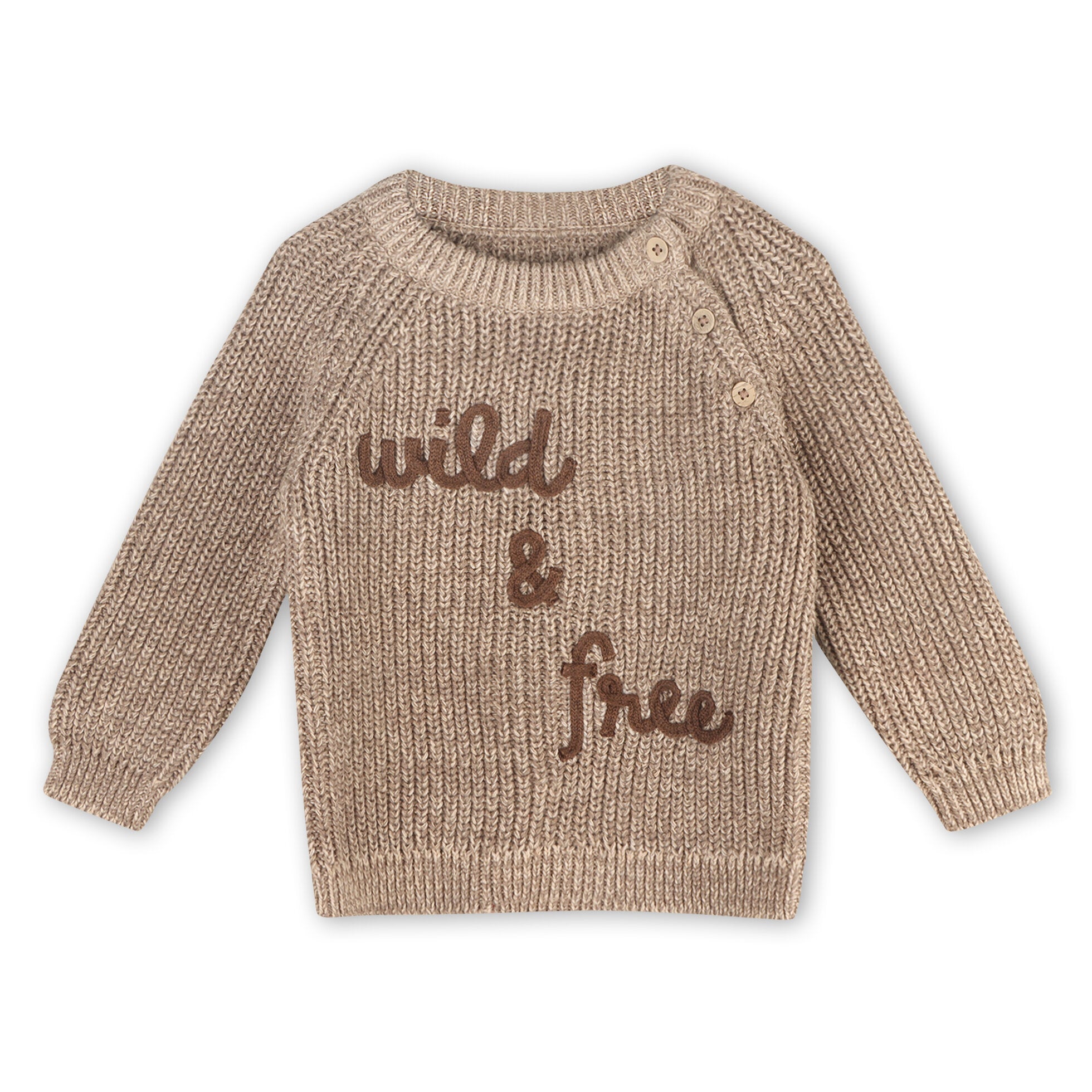 Wild & Free Chunky Knit Pullover
