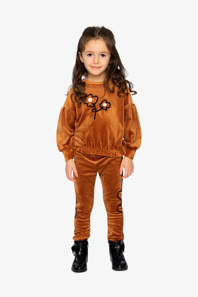 Velvet Top-Brown