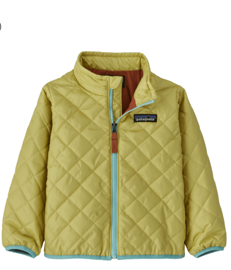 Patagonia nano puff 2t hotsell