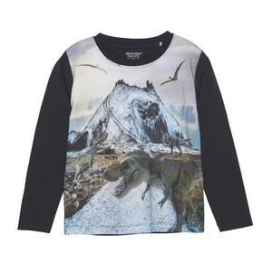 Dino Mountain Print T-shirt