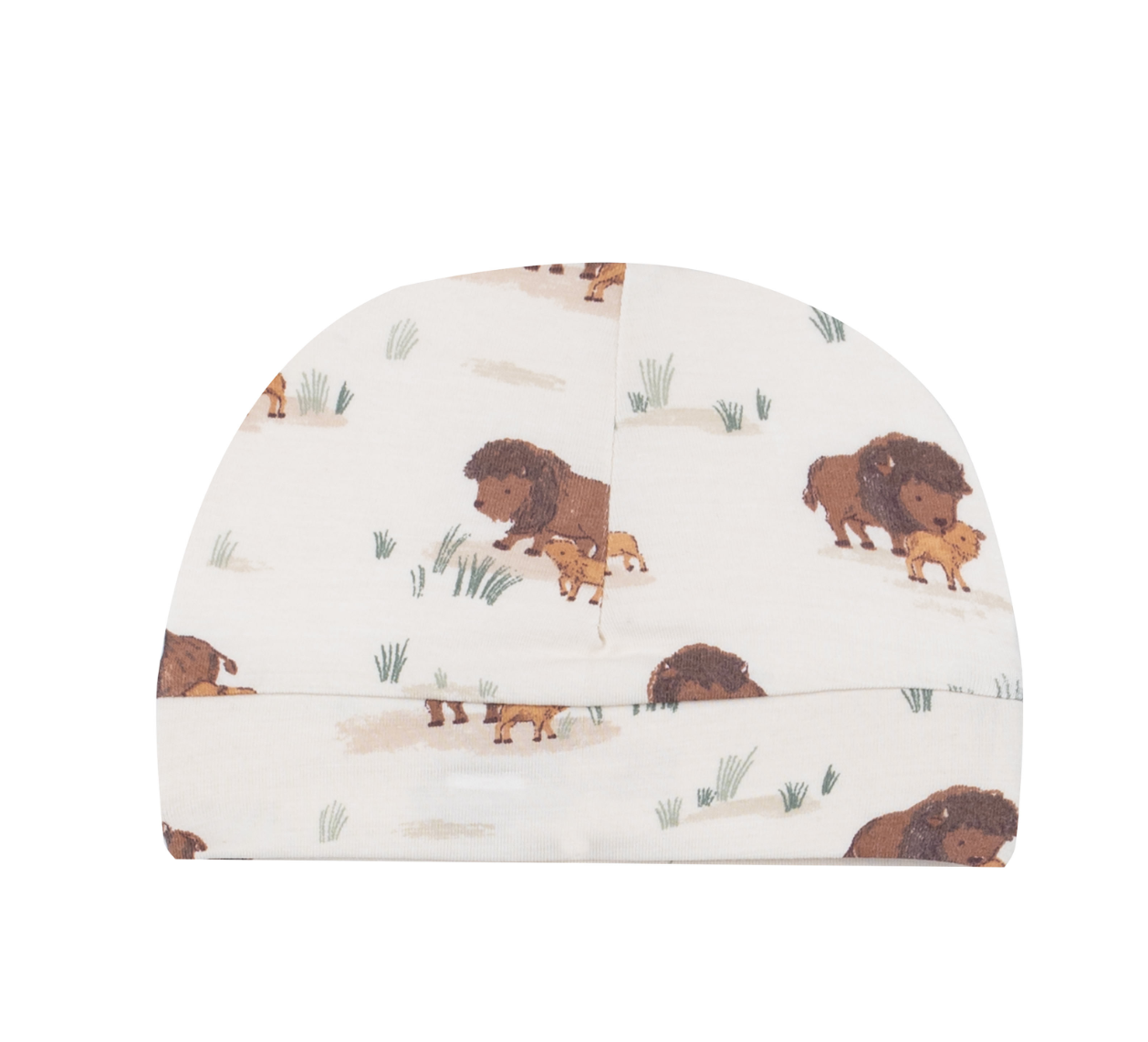 Bison Families - Beanie Hat