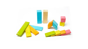 14 Piece Magnetic Wooden Block Set