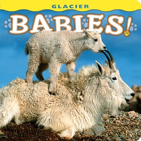 Glacier Babies