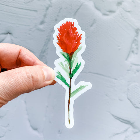 Watercolor Indian Paintbrush Sticker