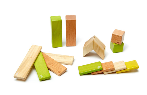 14 Piece Magnetic Wooden Block Set