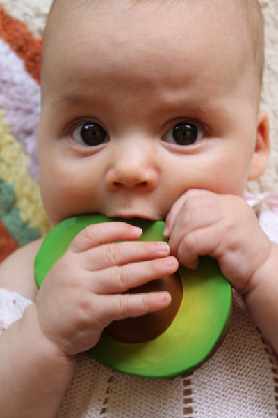 Arnold Avocado Teether