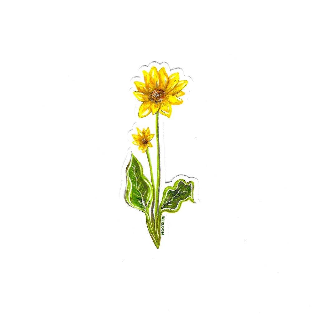 Balsamroot Wildflower Sticker